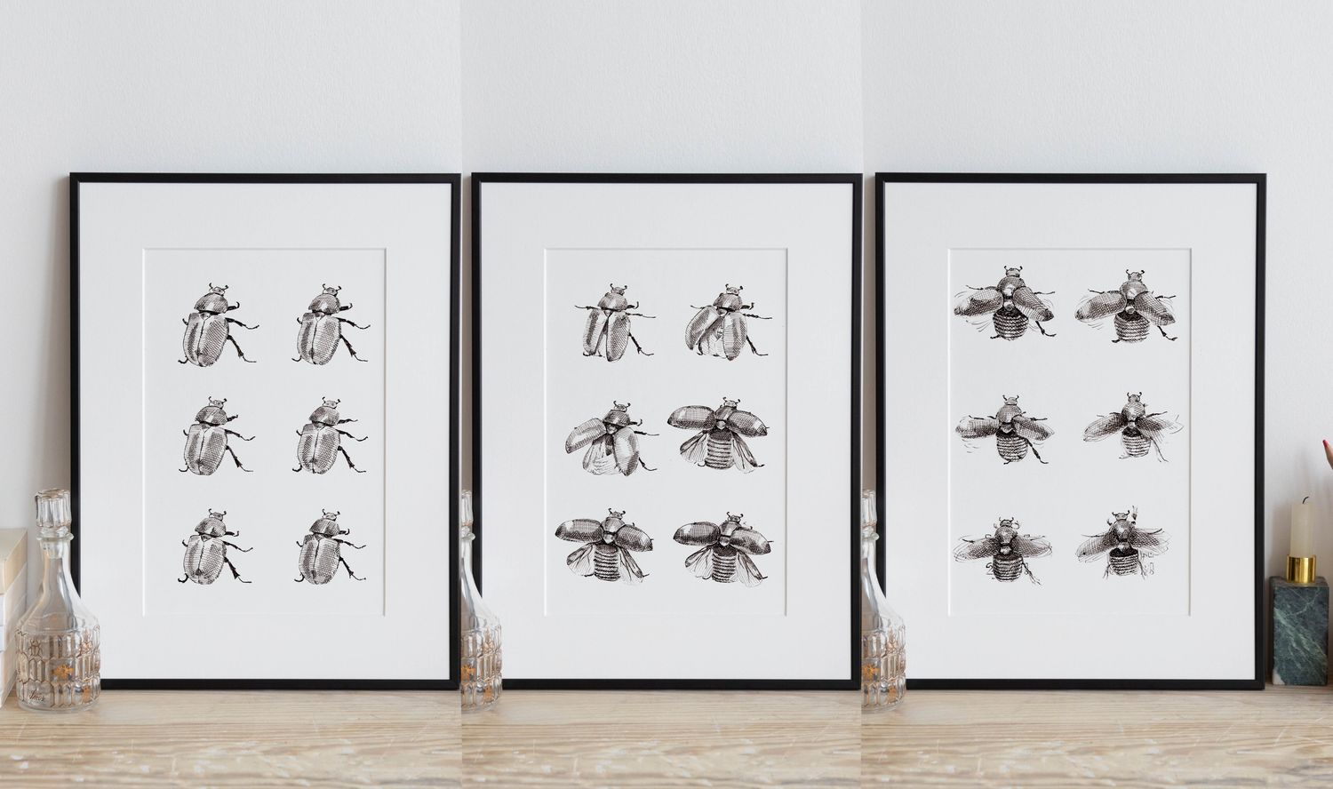 Scarabée triptyque - série ouverte