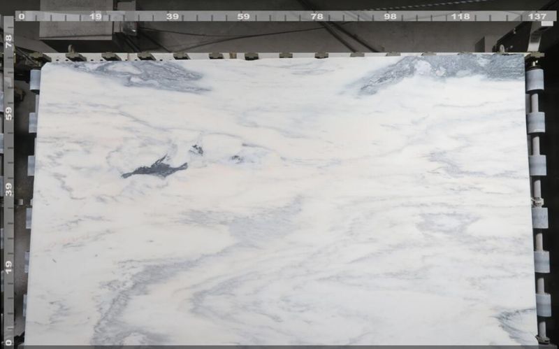 Vermont Olympian White Classic Danby Marble - Sample