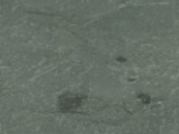 Slate Samples