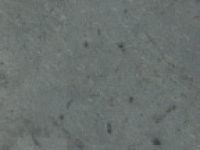 Vermont Grey Green Honed Slate Sample