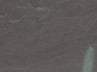Vermont Purple Honed Slate Sample