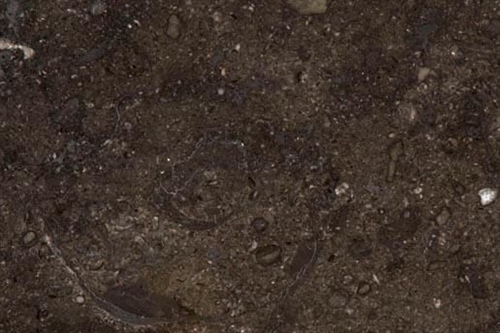 Vermont Champlain Black Marble - Honed Sample Vermont Champlain Black Marble - Honed Sample