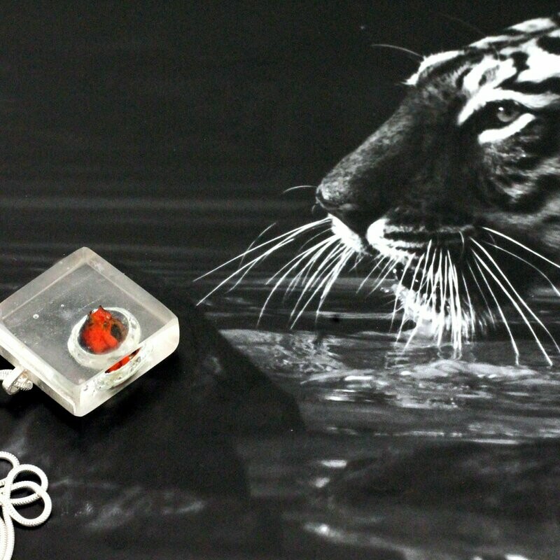 Schätze der Vergangenheit 2 inkl. Silberkette Schätze der Vergangenheit 2 inkl. Silberkette