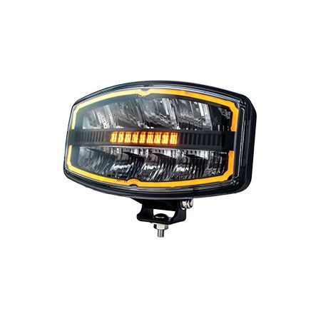Spot Light  9" Oval