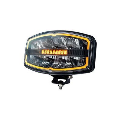 Spot Light  9" Oval
