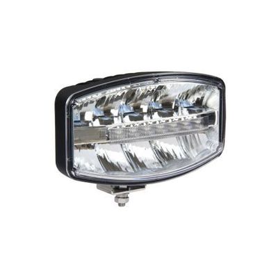 Spot Light  9" Oval