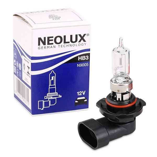 Standard 60 W 12 V P20d HB3