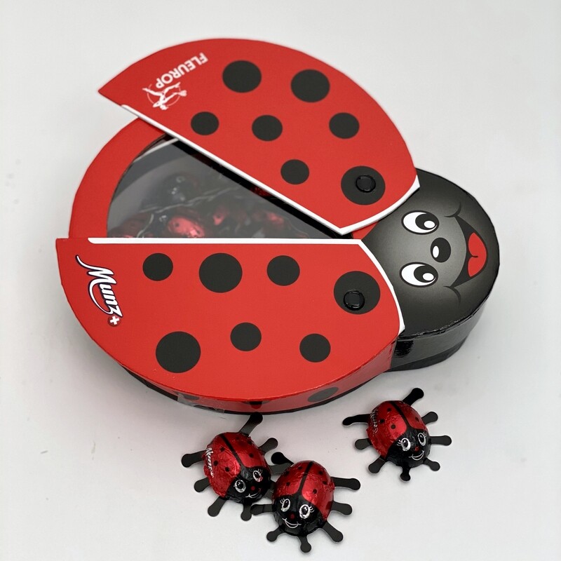 Chocolate Ladybird from Munz