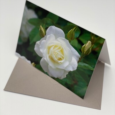 Greeting Card - Flower