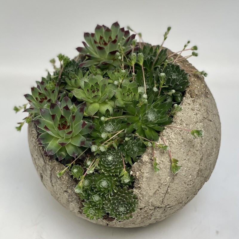 Rezli Gletscherseeli