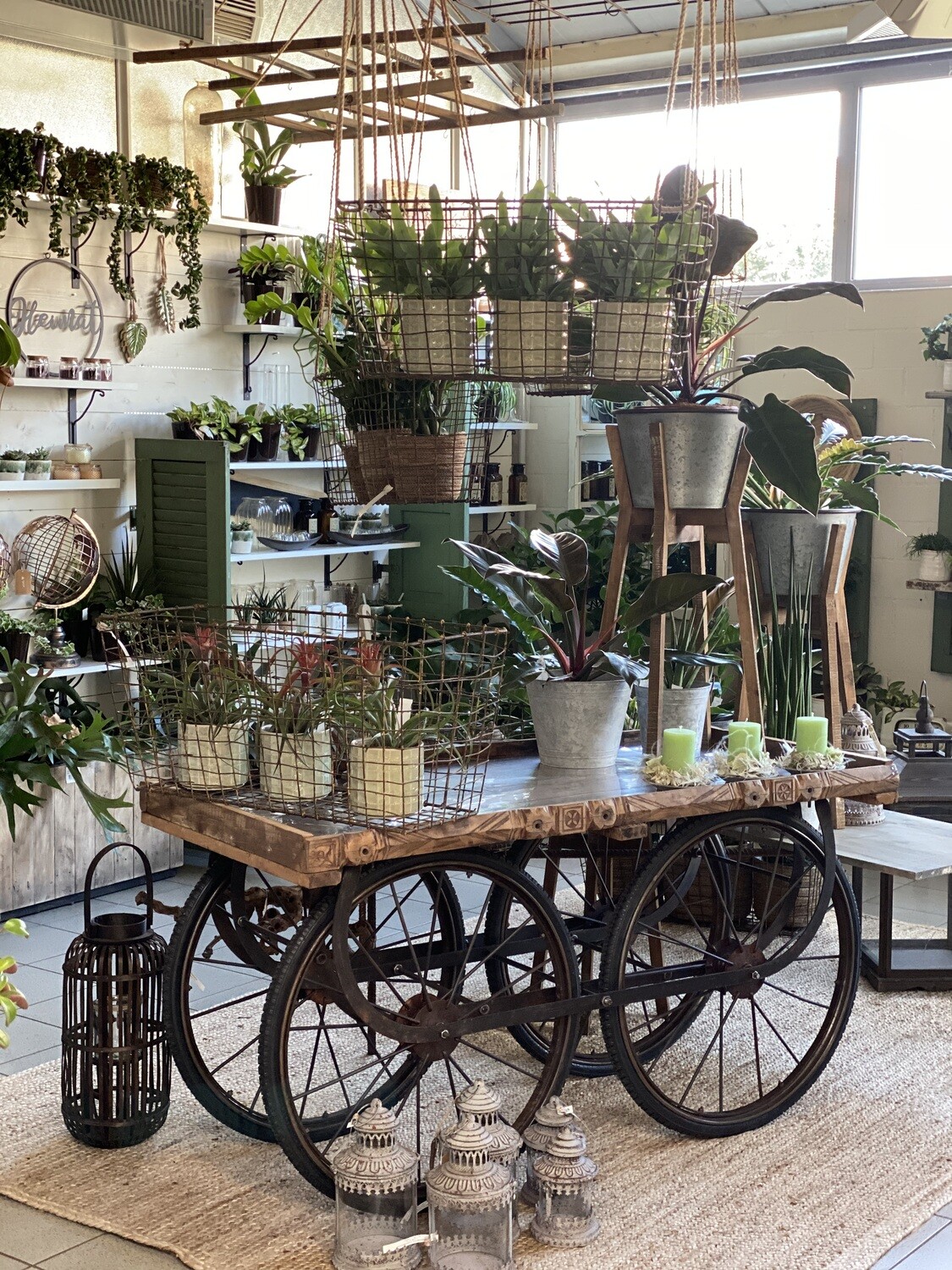 Wagon Anique