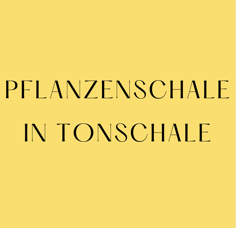 Pflanzenschale in TONSCHALE mit Kerze