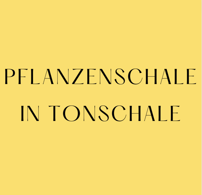 Pflanzenschale in TONSCHALE mit Kerze
