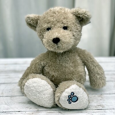 Plush Teddy Bear