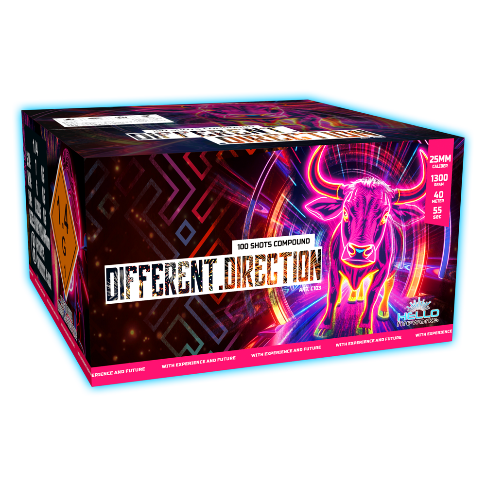 Different Direction Different Direction