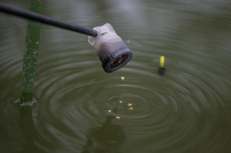 Pole Pot
