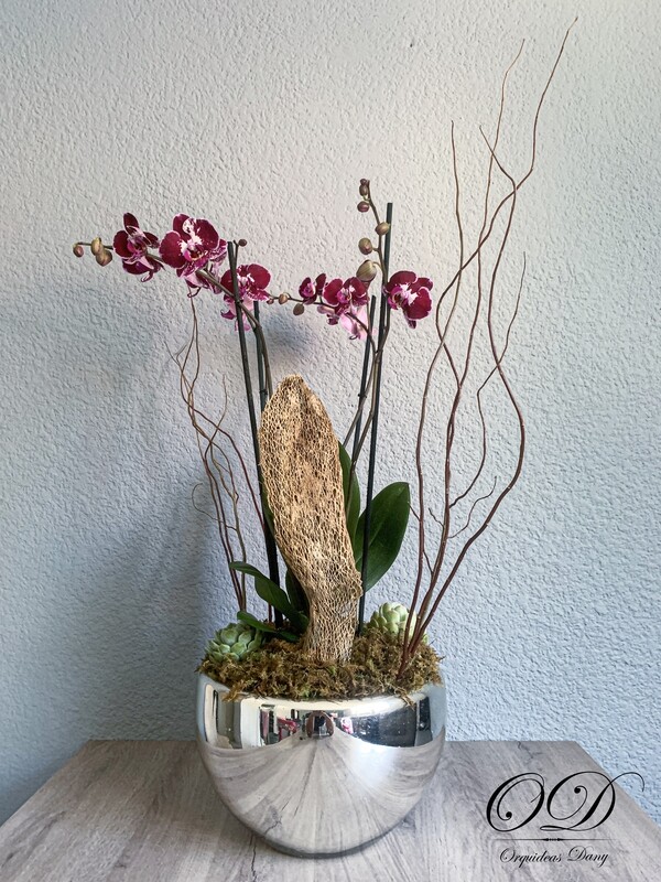 ​Orquídea  morada.