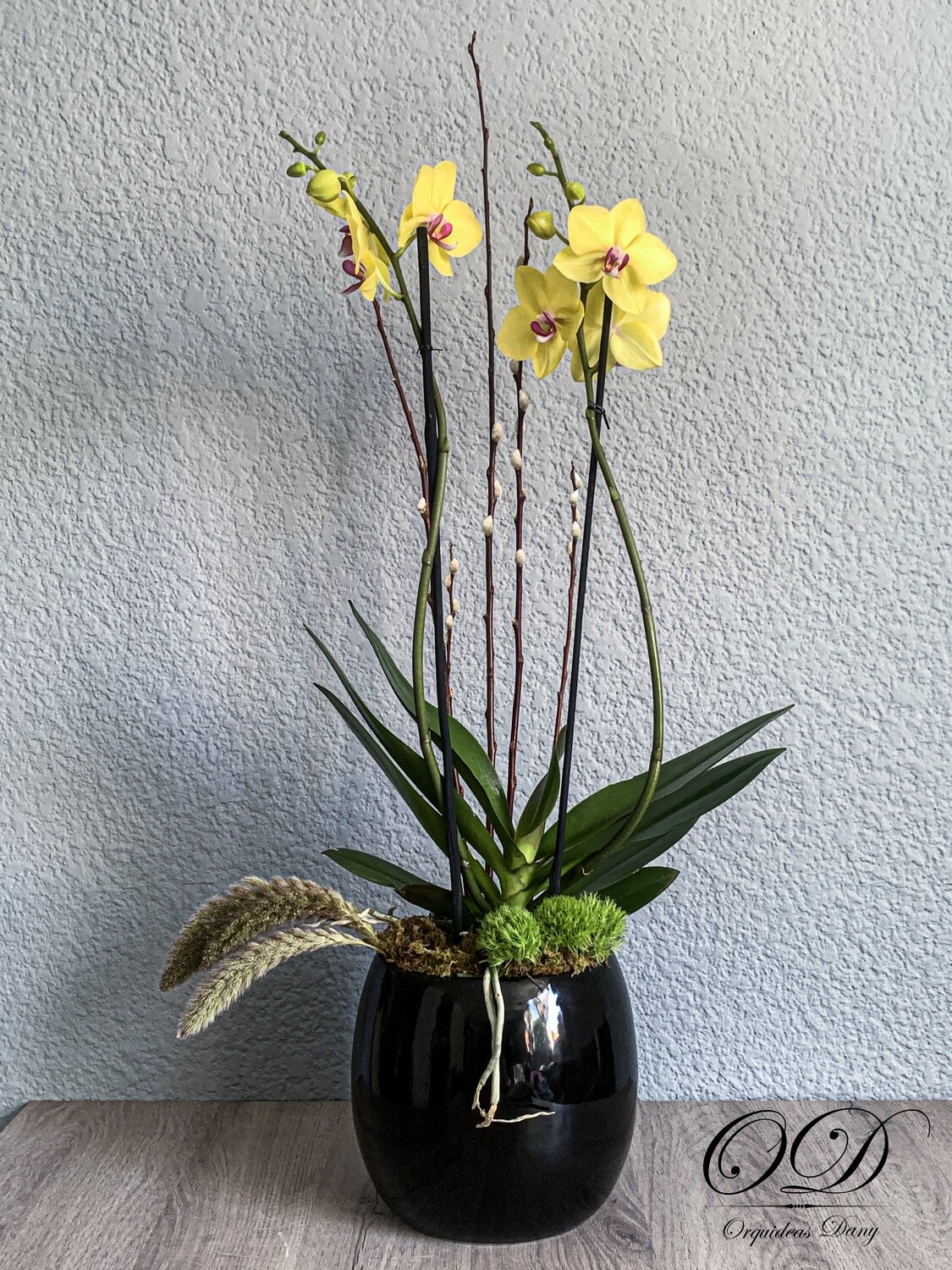 ​Orquídea amarilla.