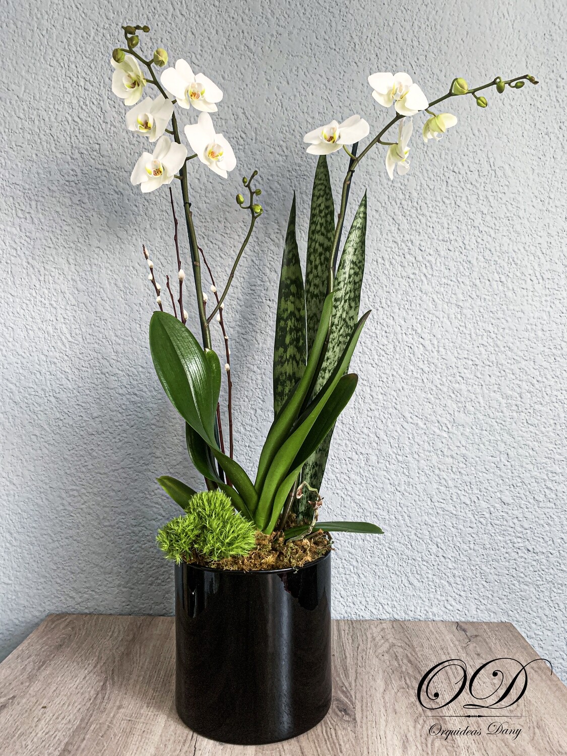 ​Orquídeas  blanca