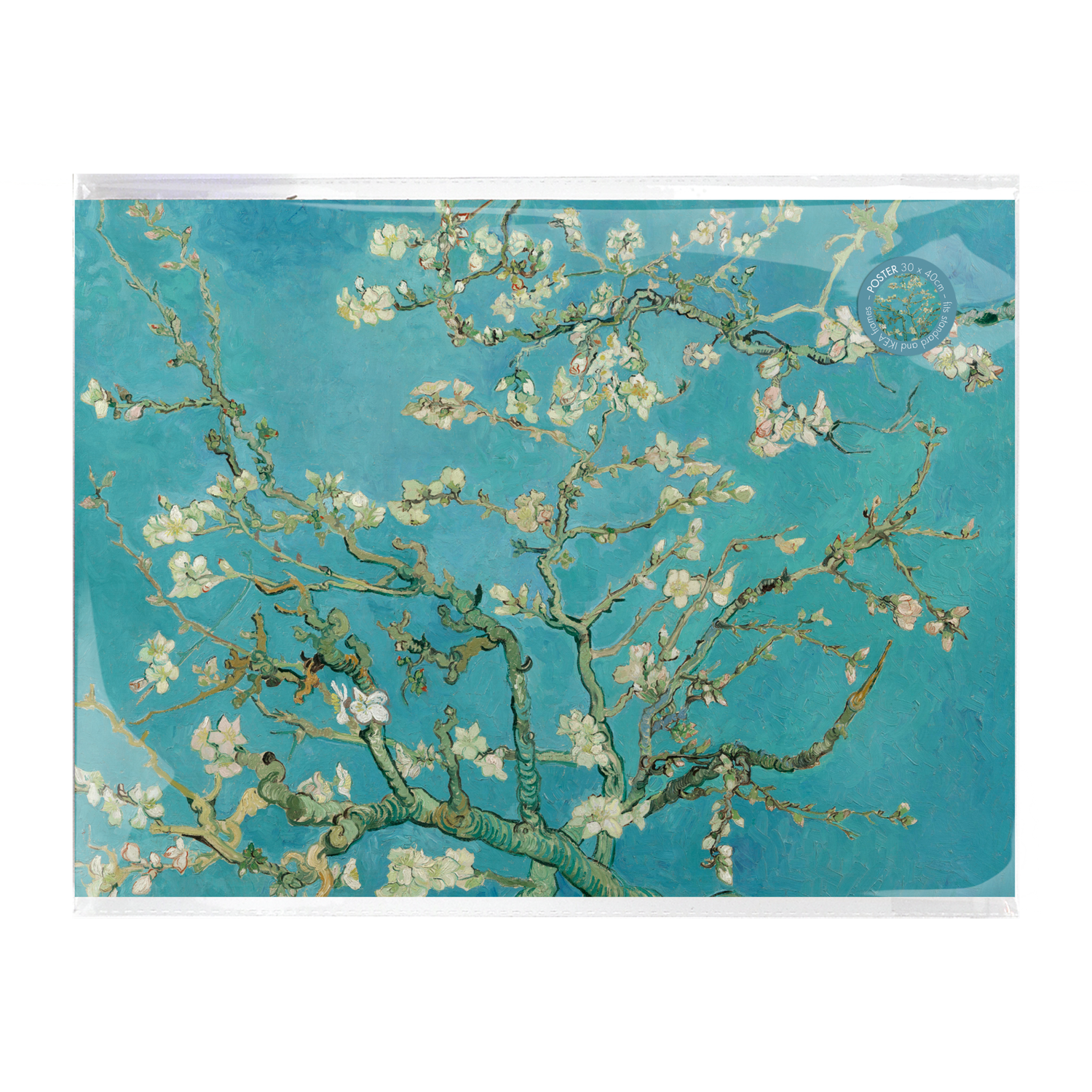 Poster Van Gogh’s Almond Blossom A3