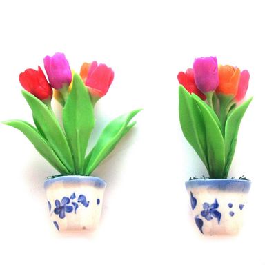 Tulip Magnets