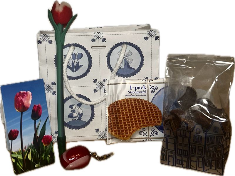 Tulip gift bag small