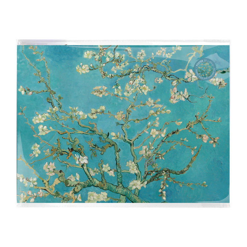 Poster Van Gogh’s Almond Blossom A3