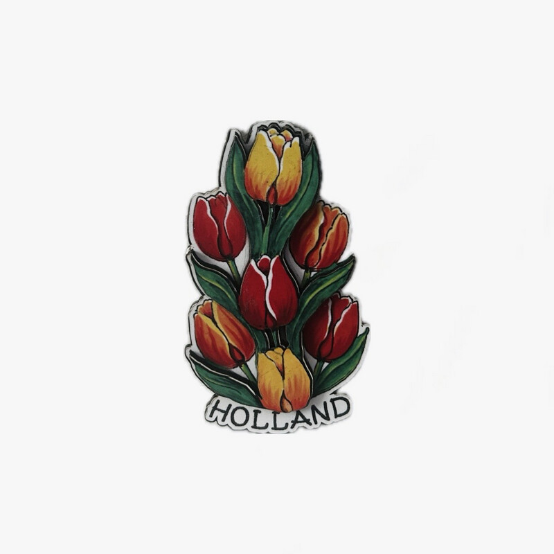 Magnet Tulips?