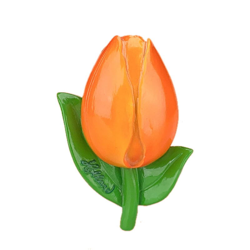 Magneet tulp oranje