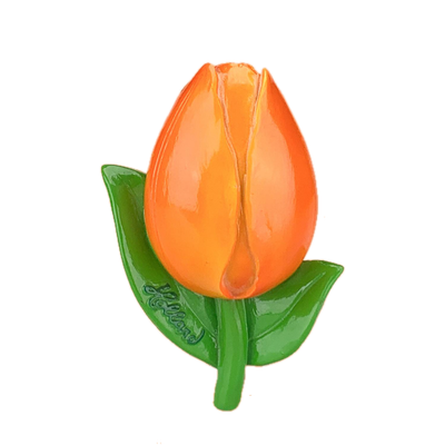 Magneet tulp oranje Magneet tulp oranje