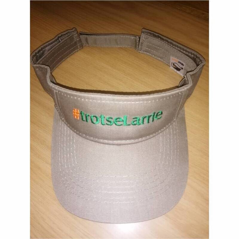 Ondersteuner Visor