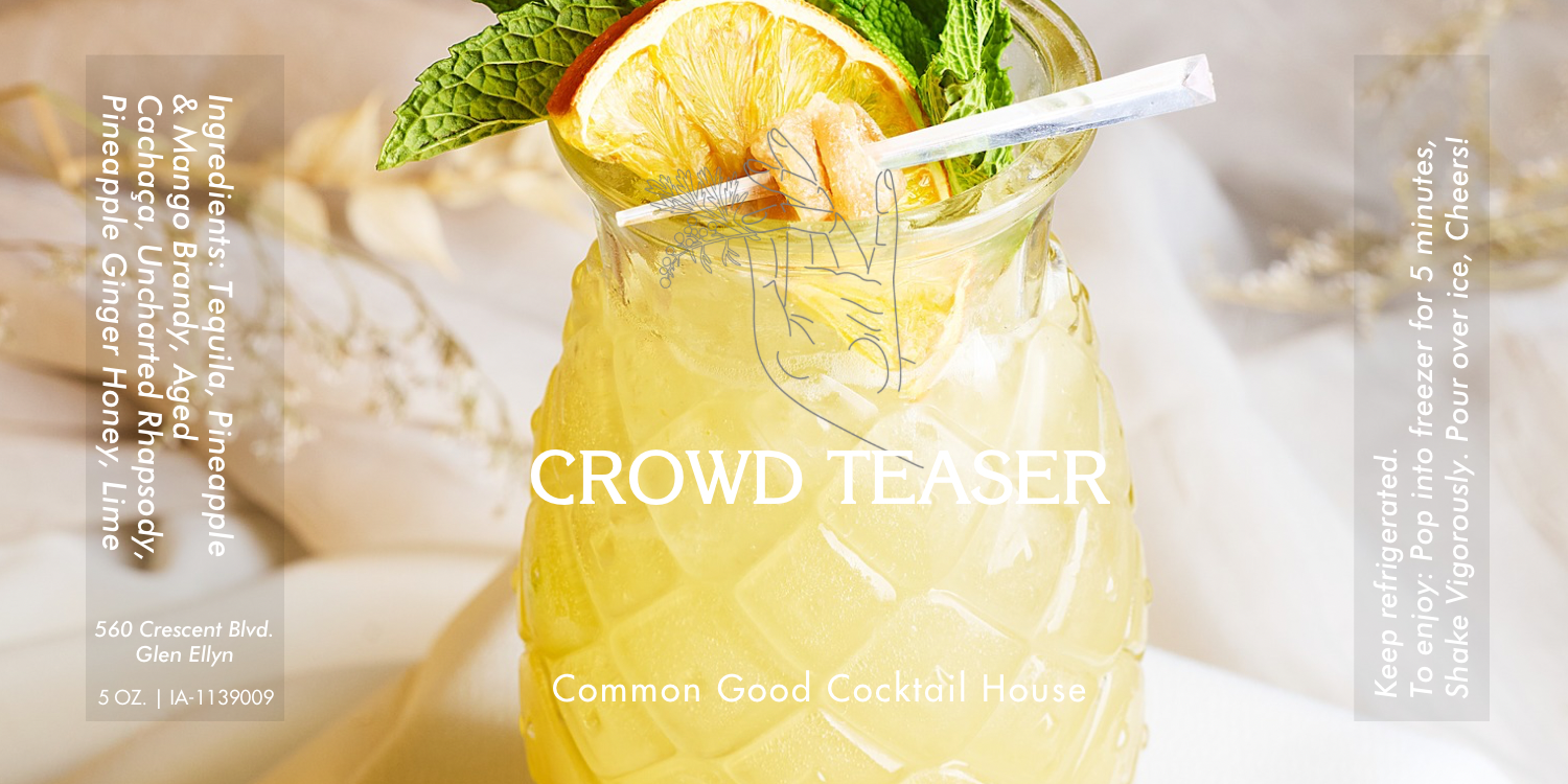 Crowd Teaser