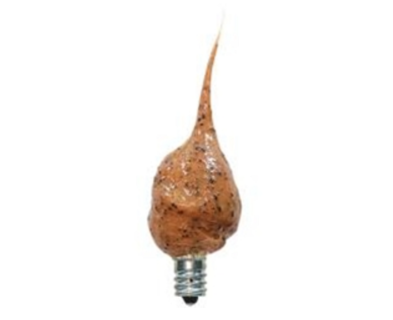 Hazelnut Silicone Dipped Light Bulb Decorative