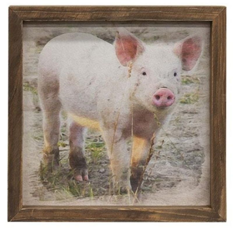 12x12 Pasture Pig Print Farmhouse Decor