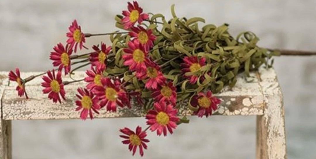 Mini Mountain Daisy Bush Floral Pick Decor Accent Burgundy