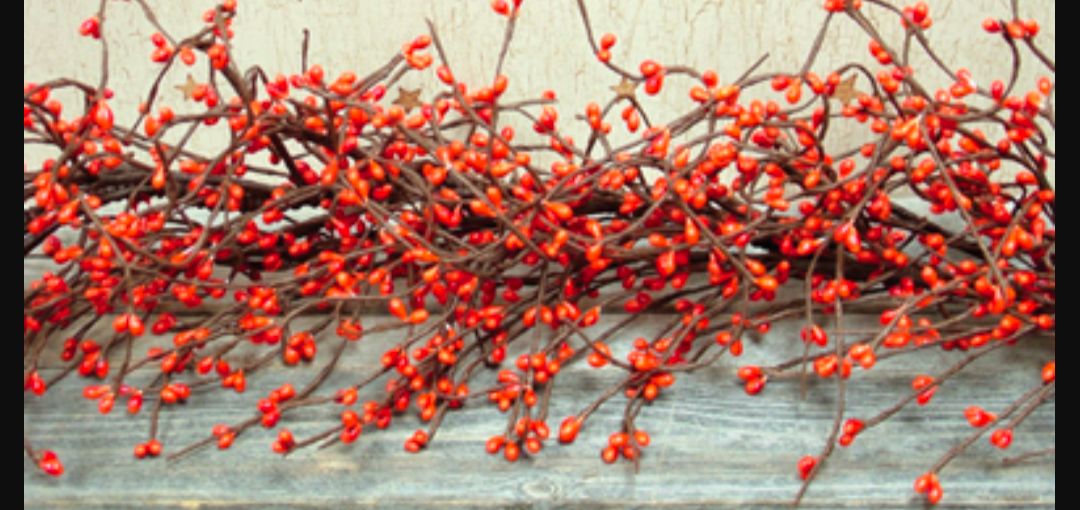 48&quot; Pumpkin Pip Berry Garland