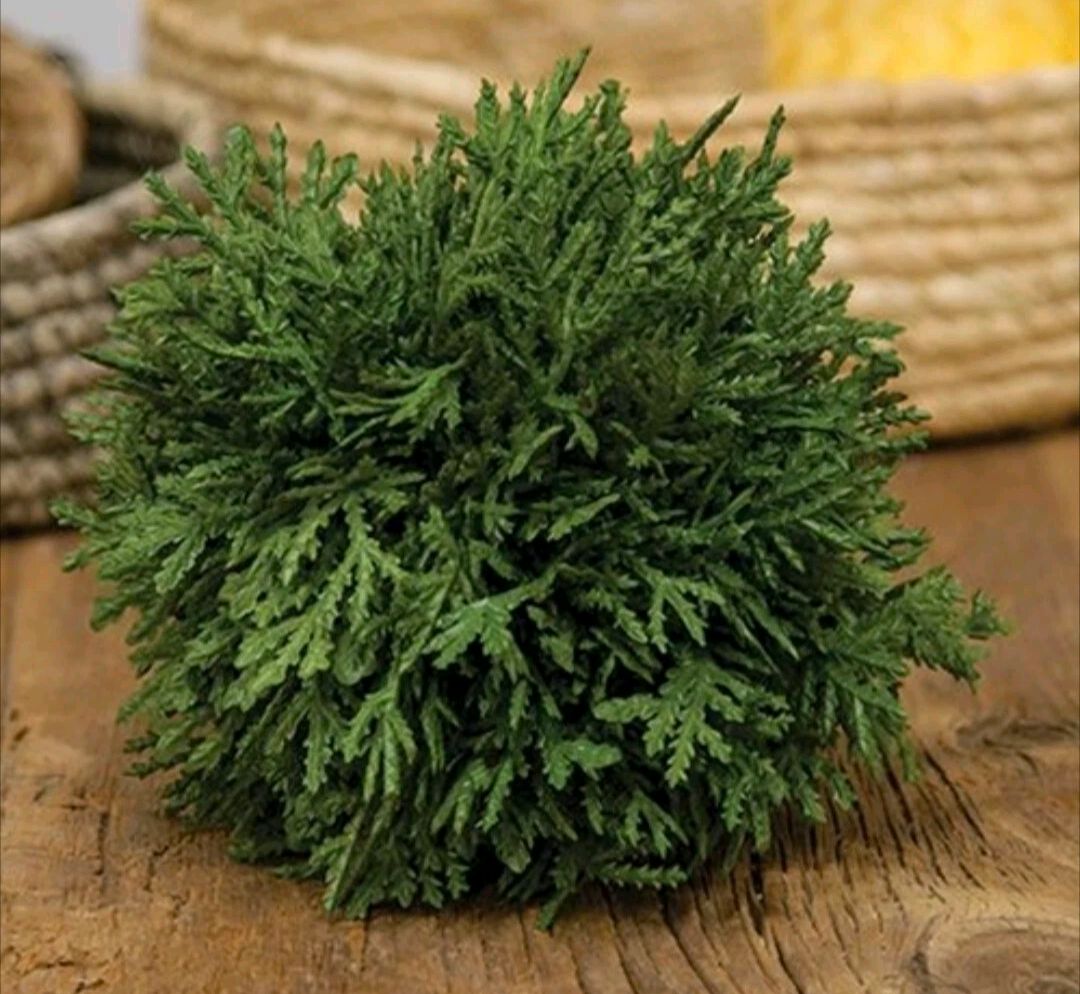 4-1/2" Cypress Orb Floral Decor Accent