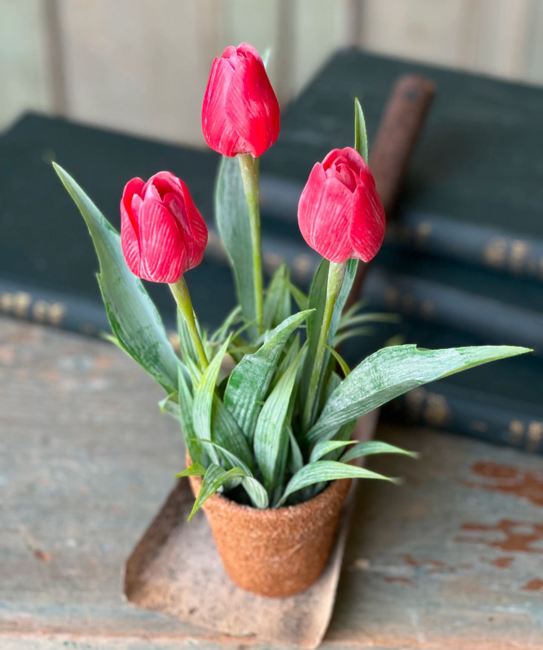 Easter Spring