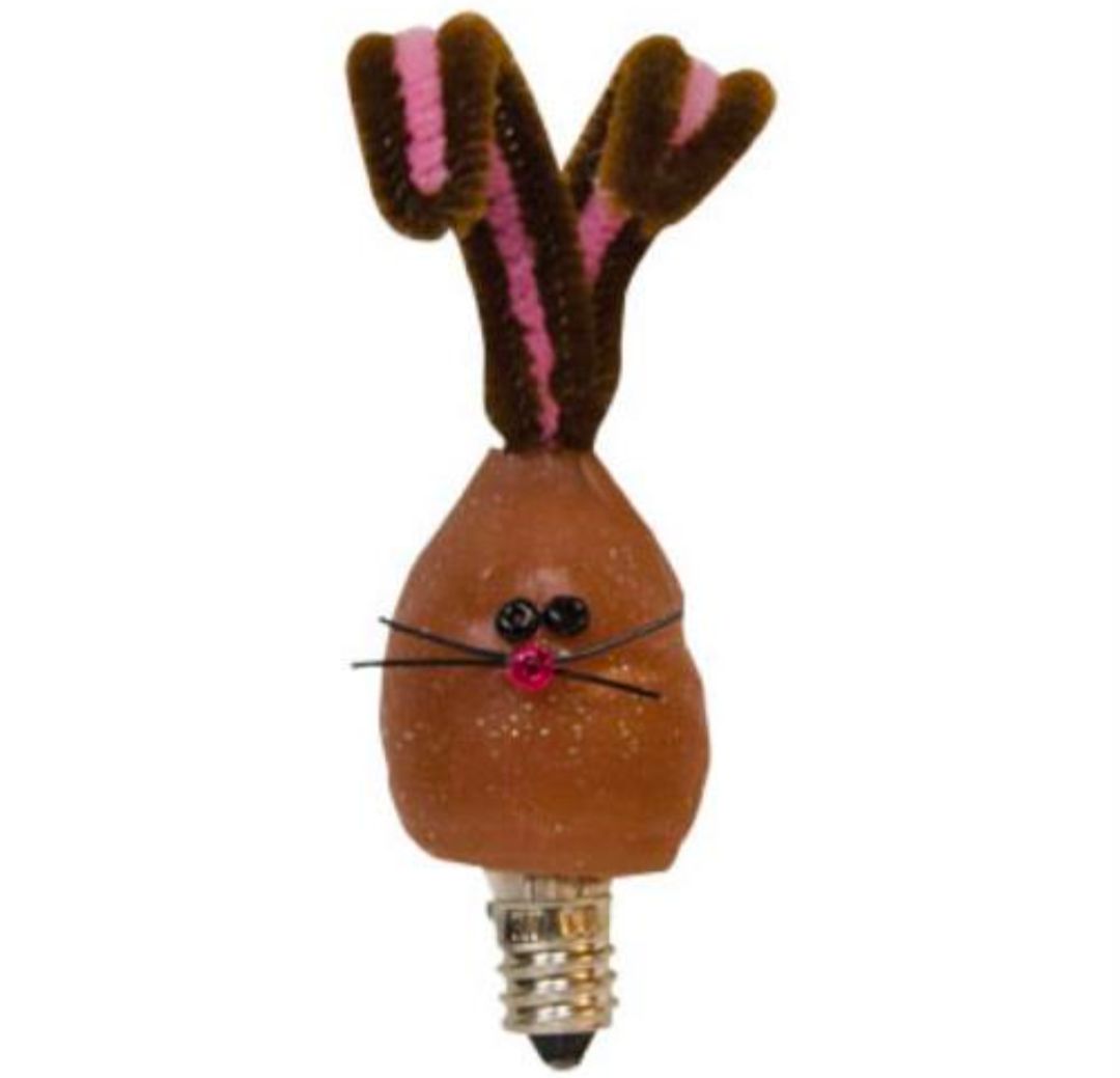 Chocolate Bunny Silicone Bulb