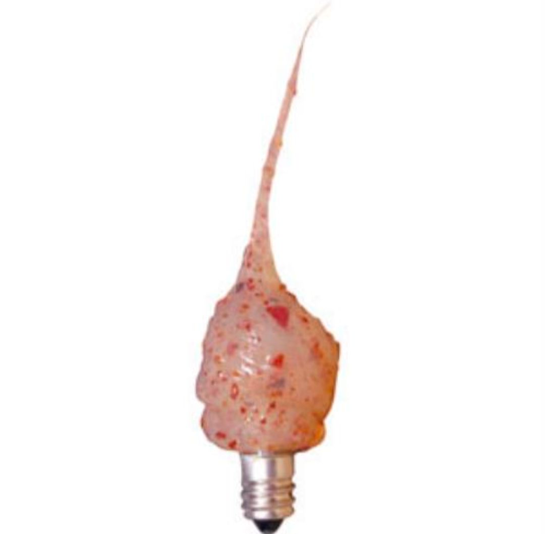 Spicy Rosehip Moonscent Bulb