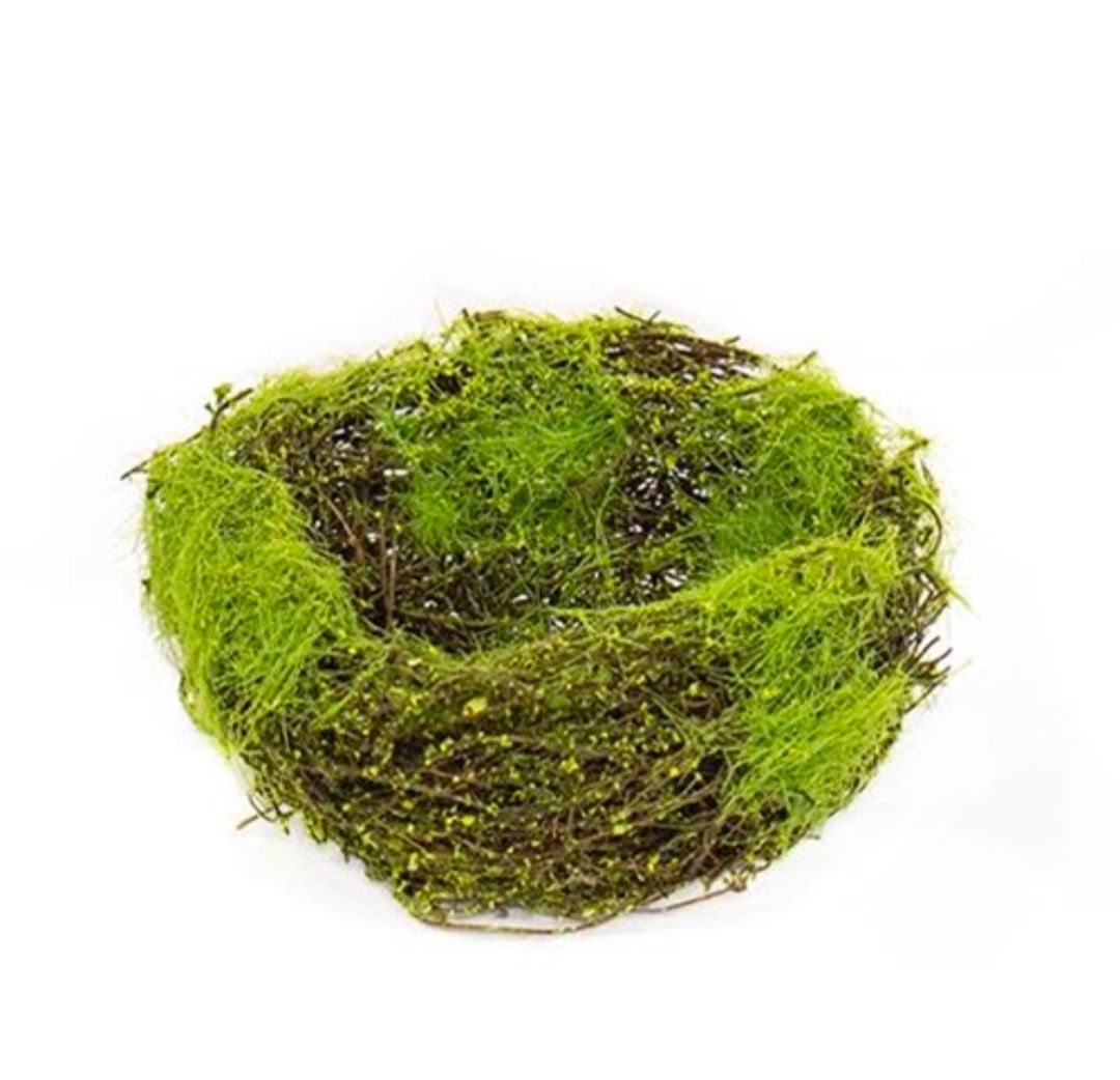 5" Mossy Vine Birdnest