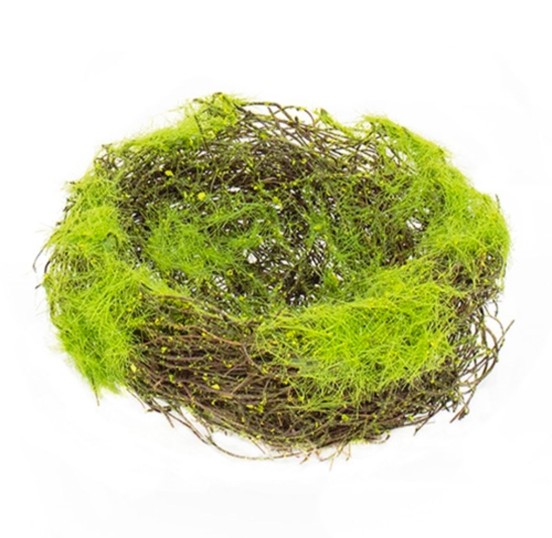 6" Mossy Vine Birdnest