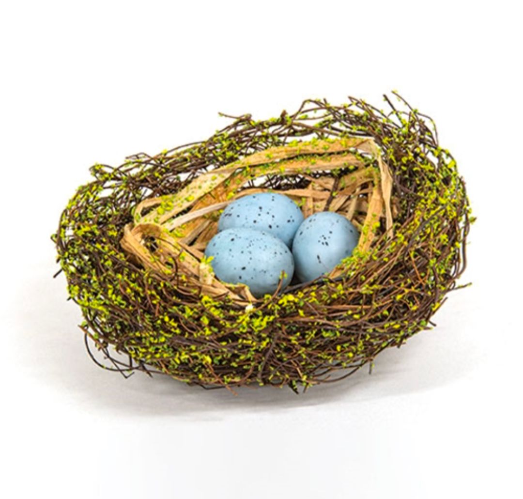 5" Mossy Early Spring Nest w/Eggs