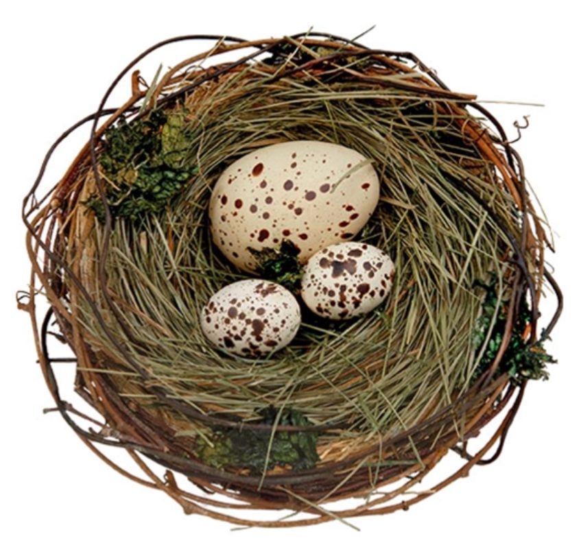 Speckled Egg Trio In Nest