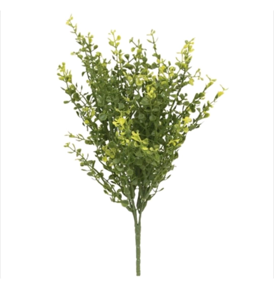 14" Medium Green Baby's Grass Peppergrass Floral Pick Decor Accent