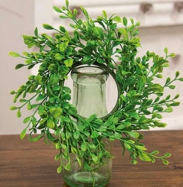 3-1/4" Fresh Sprouted English Boxwood Candle Ring