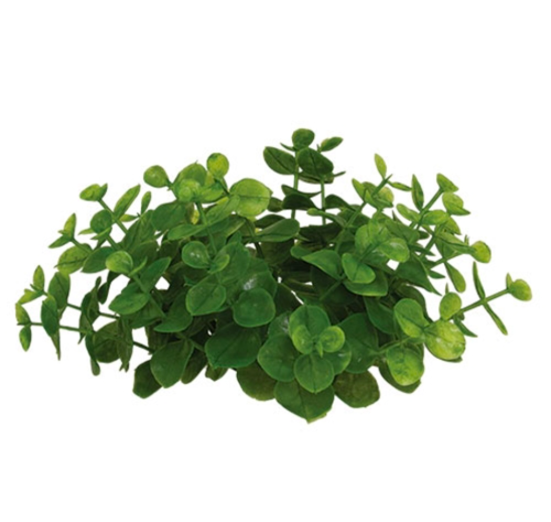 1" Eucalyptus Candle Ring