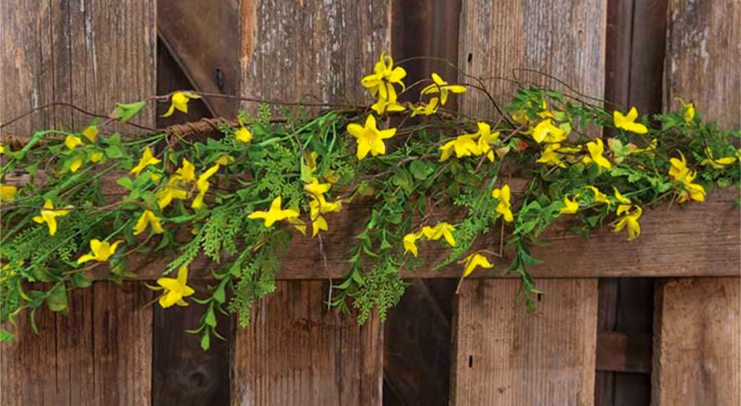 48" Forsythia Garland