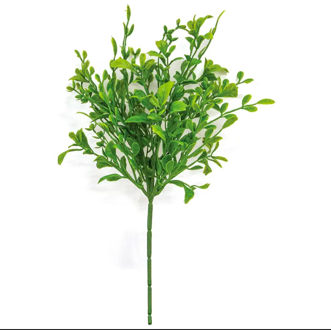 13" Evergreen English Boxwood Floral Pick