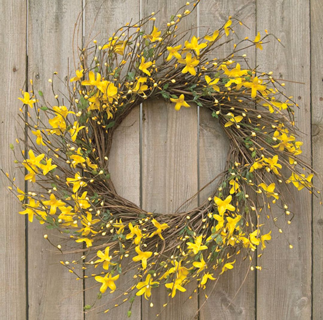 20" Star Forsythia Wreath